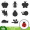 Find the correct shadow, game for children, Ladybug