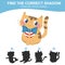 Find the correct shadow kawaii and cute orange kitten