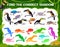 Find correct shadow, toucan, chameleon, kids game