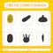 Find the correct shadows game with delicata squash. worksheet for preschool kids, kids activity sheet