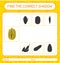 Find the correct shadows game with delicata squash. worksheet for preschool kids, kids activity sheet