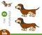 Find differences, education game, Dachshund