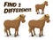 Find differences game horse vector illustration