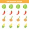 Find different picture in each row. Set of colorful vegetables