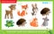 Find and mark two identical animals. Puzzle for kids. Matching game, education game for children. Color images of wild animals.