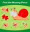 Find the Missing Piece puzzle game with cute snail