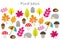 Find pairs of identical pictures, fun education game with autumn theme for children, preschool worksheet activity for kids, task f