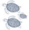 Find ten differences - coloring page - turtle