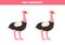 Find three differences between two pictures of cute ostrich. Game for kids