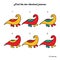 Find two identical pictures. Colored dinosaurs. A puzzle game for children. illustration.