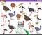 Find two same bird characters game for children