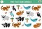 Find two same endangered animals. Ecological matching activity for children. Eco awareness educational quiz worksheet for kids for