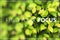 Find Your Focus green leaf background