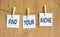 Find your niche symbol. Concept words Find your niche on white papers on wooden clothespins. Beautiful wooden background. Business