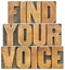 Find your voice