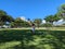 Finding Balance in Paradise: Handstanding at Kapiolani Park