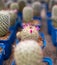 Finding Beauty in the Desert: A Vibrant and Unique Photo of a Majestic Cactus