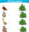 Finding Hiding Animals Child Exercise Sheet eagle owl giraffe bear printable