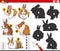 finding shadows activity with cartoon rabbits animals