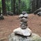 Finding zen amongst the redwoods