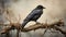 Fine Art Portraiture Of A Crow On A Tree Branch