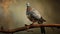 Fine Art Portraiture: A Muted Pigeon On Branch