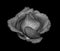 Fine art still life low key monochrome macro of a single isolated rose blossom with detailed texture on black background
