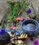 A fine breakfast, a mug of tea, fresh rolls with poppy seeds and poppy flowers