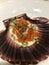 Fine dining, fresh scallop served in its shell with cauliflower puree and salmon caviar