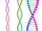 Fine image 3d of dna illustration