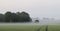 Fine light fog and cornfield
