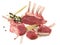 Fine Meat - Lamb Rack - Different Cuts on white Background