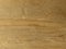 Fine oak tree wood texture pattern background. Exquisite Design Oak Wood Grain.