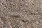 Fine pebbles of a brown shade. Beach ground. Natural material for design, decoration and construction. Sanded granite and hard min