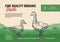 Fine Quality Organic Poultry. Abstract Vector Meat Packaging Design or Label. Modern Typography and Hand Drawn Duck with