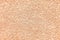 Finely Textured Stucco Background in Peachy Beige Color