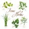 Fines Herbes, French Herb Blend