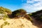 Fingal Beach in Mornington Peninsula Australia