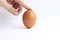 Finger holds a brown chicken egg in a vertical state on a light background