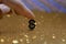 Finger holds dollar sign against blur background