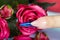 Finger with long artificial blue french manicured nails and rose flowers