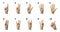 Finger spelling numbers from 1 to 10 in Sign Language on white background. ASL concept