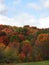 FingerLakes colorful autumn deciduous trees