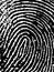 FingerPrint Crop