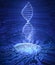 Fingerprint Genetic Code DNA