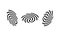 Fingerprint icon set in black. Science security crime anatomy identity. Fingerprint symbol. Vector EPS 10