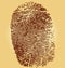 Fingerprints, illustration