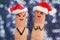 Fingers art of couple celebrates Christmas. Concept of man and woman laughing in new year hats.