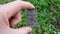 Fingers on hand are holding an old copper plate with small holes