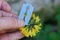 Fingers holding a black razor blade and a cut bud